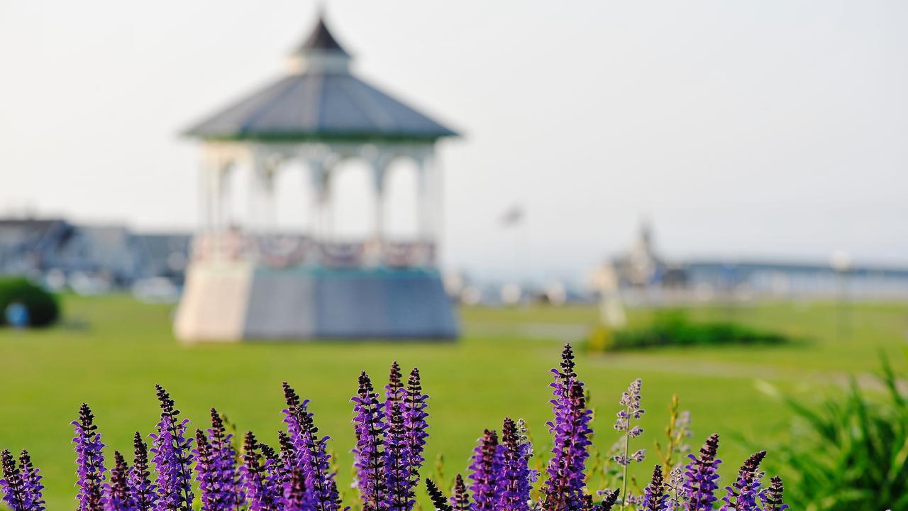 Pequot Hotel Oak Bluffs Exteriér fotografie